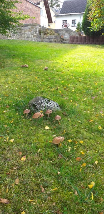 Rekreacni Dum Pohoda Jiřetín pod Jedlovou Buitenkant foto